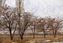 گزارش تصویری از یک روز برفی در شاهرود
